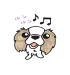 キャバリアのまるちゃん（個別スタンプ：1）