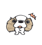 キャバリアのまるちゃん（個別スタンプ：3）