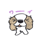 キャバリアのまるちゃん（個別スタンプ：7）
