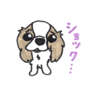 キャバリアのまるちゃん（個別スタンプ：10）
