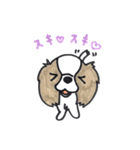 キャバリアのまるちゃん（個別スタンプ：11）