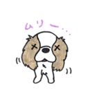 キャバリアのまるちゃん（個別スタンプ：13）