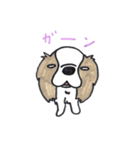 キャバリアのまるちゃん（個別スタンプ：14）