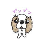 キャバリアのまるちゃん（個別スタンプ：17）