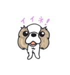 キャバリアのまるちゃん（個別スタンプ：18）