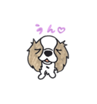 キャバリアのまるちゃん（個別スタンプ：20）