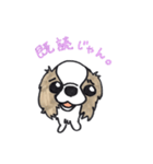 キャバリアのまるちゃん（個別スタンプ：21）