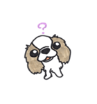 キャバリアのまるちゃん（個別スタンプ：23）