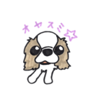 キャバリアのまるちゃん（個別スタンプ：24）