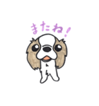 キャバリアのまるちゃん（個別スタンプ：26）