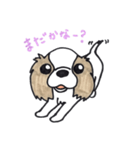 キャバリアのまるちゃん（個別スタンプ：27）