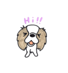 キャバリアのまるちゃん（個別スタンプ：28）