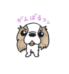 キャバリアのまるちゃん（個別スタンプ：29）