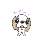 キャバリアのまるちゃん（個別スタンプ：32）