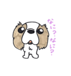 キャバリアのまるちゃん（個別スタンプ：33）