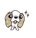 キャバリアのまるちゃん（個別スタンプ：34）