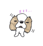キャバリアのまるちゃん（個別スタンプ：39）