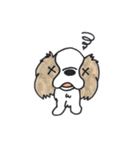 キャバリアのまるちゃん（個別スタンプ：40）