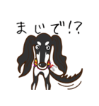 Saluki's サルーキスタンプ（個別スタンプ：3）