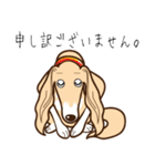 Saluki's サルーキスタンプ（個別スタンプ：22）