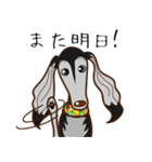 Saluki's サルーキスタンプ（個別スタンプ：39）