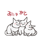 こねこねこねこ（個別スタンプ：6）