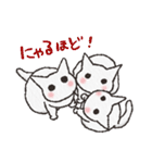 こねこねこねこ（個別スタンプ：13）