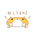 大学にゃんこ（個別スタンプ：34）