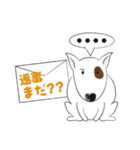 ドンっと来い！（個別スタンプ：9）