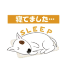 ドンっと来い！（個別スタンプ：23）