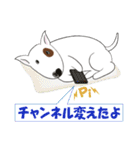 ドンっと来い！（個別スタンプ：24）