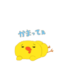 ピヨピーだよ（個別スタンプ：20）