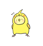 着ぐるみインコ（個別スタンプ：38）