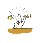 あっぱれ犬（個別スタンプ：33）