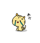 〜とらねこのトラ太〜（個別スタンプ：13）