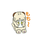 みーよーくん3（個別スタンプ：11）