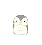 Hooty - the cute owl - grey color set（個別スタンプ：1）