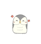 Hooty - the cute owl - grey color set（個別スタンプ：3）