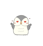 Hooty - the cute owl - grey color set（個別スタンプ：8）