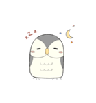 Hooty - the cute owl - grey color set（個別スタンプ：12）