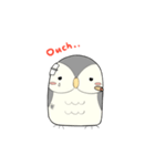 Hooty - the cute owl - grey color set（個別スタンプ：24）