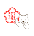 北海道犬2（個別スタンプ：22）