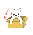 北海道犬2（個別スタンプ：40）