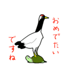 可愛いかめさんのスタンプ（個別スタンプ：27）
