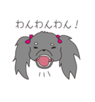 名犬！？オスカー♡（個別スタンプ：1）