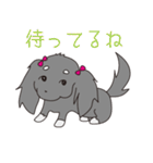名犬！？オスカー♡（個別スタンプ：4）