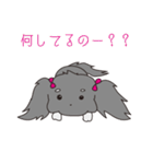名犬！？オスカー♡（個別スタンプ：19）