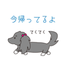 名犬！？オスカー♡（個別スタンプ：22）