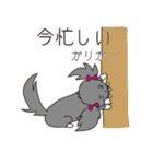 名犬！？オスカー♡（個別スタンプ：32）