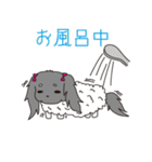 名犬！？オスカー♡（個別スタンプ：35）
